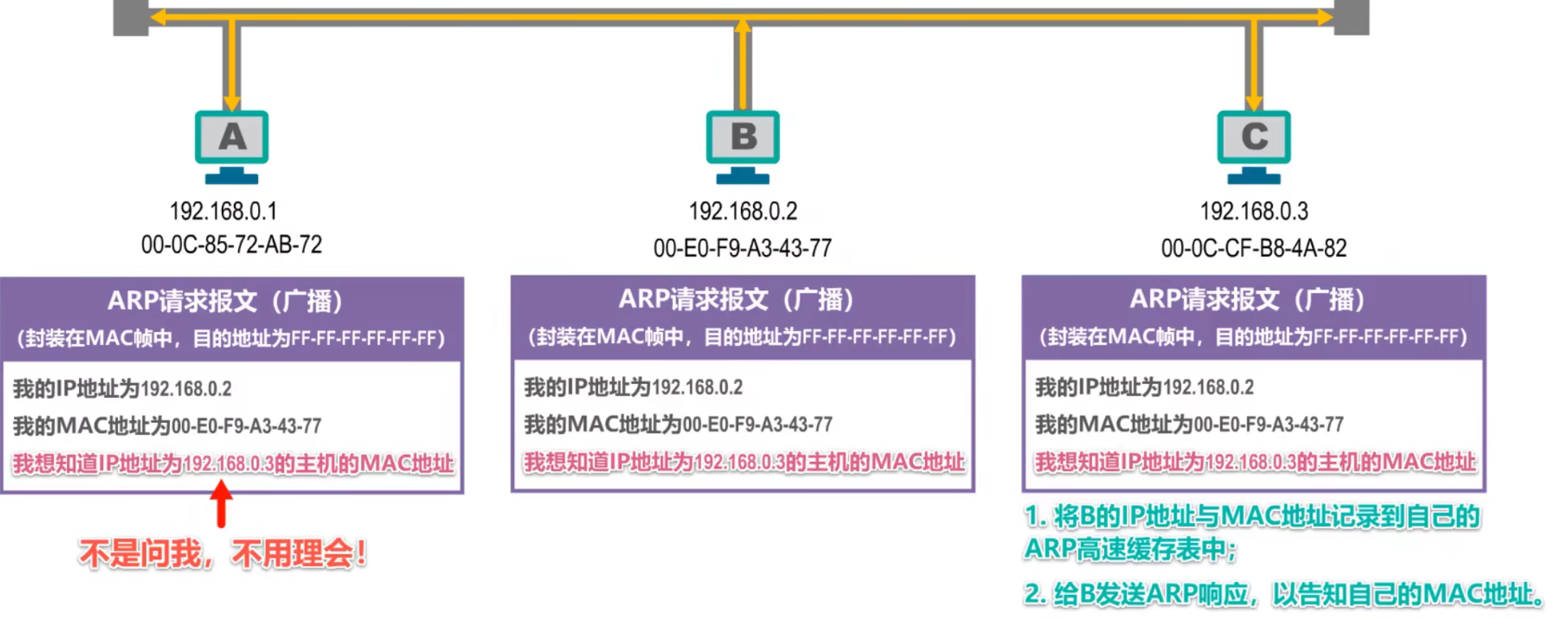 计算机网络 第三章