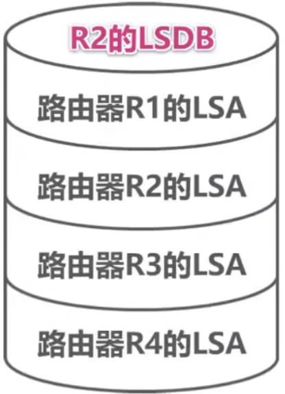 计算机网络 第四章
