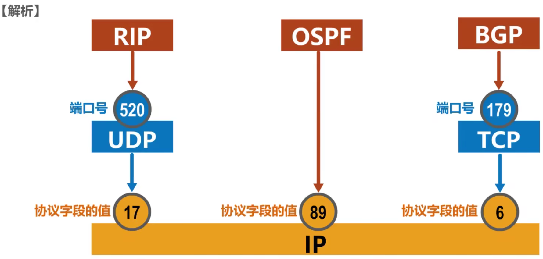 计算机网络 第四章