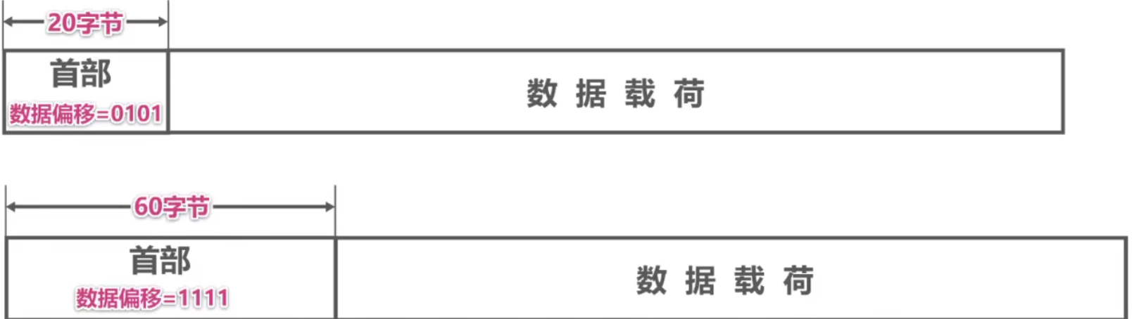 计算机网络 第五章