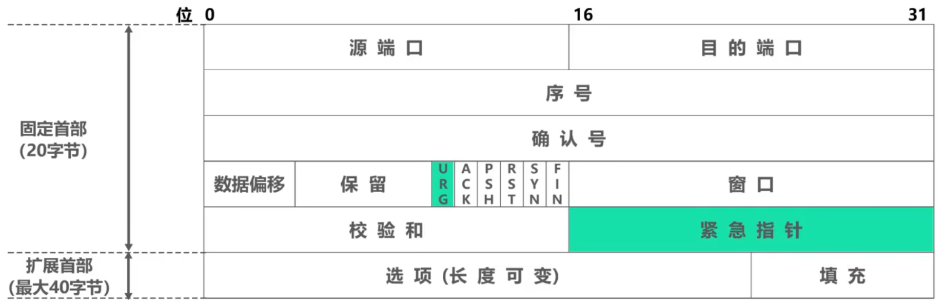 计算机网络 第五章