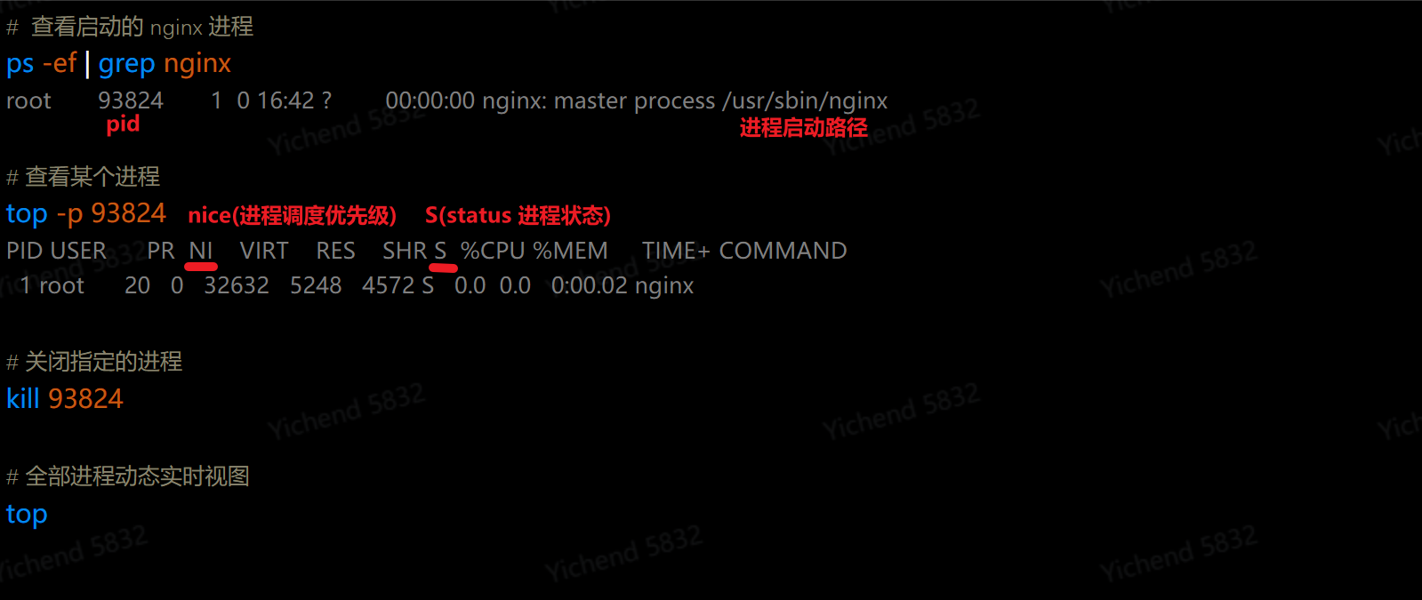 Linux 基础