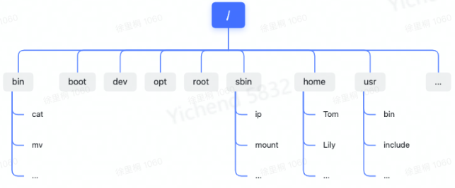 Linux 基础